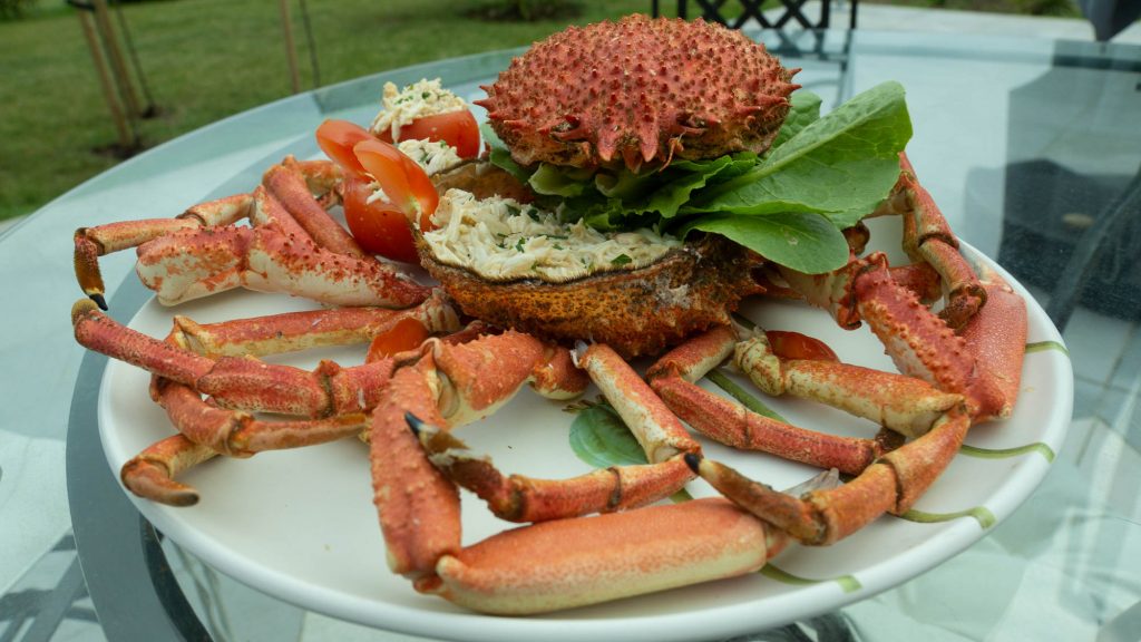 contactez-nous 06 89 04 02 32