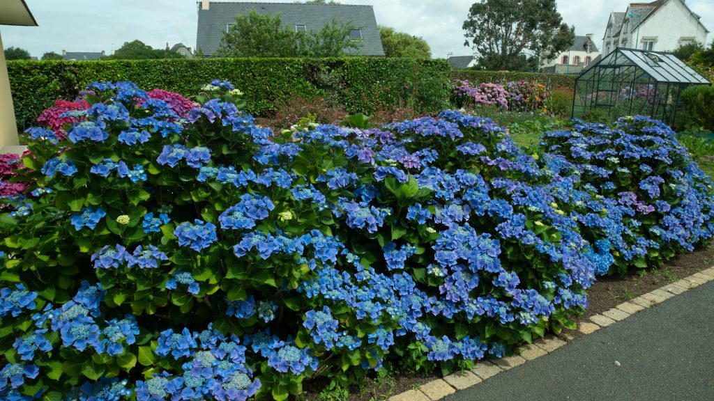 maison-de-vacances-avec-jardin-clos-près-de-la-mer