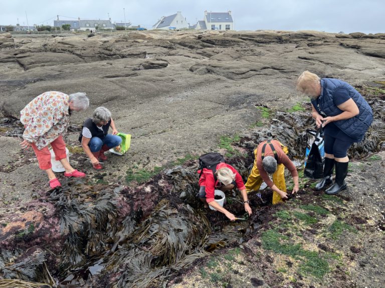 Atelier_d'algues_avec_Scarlette